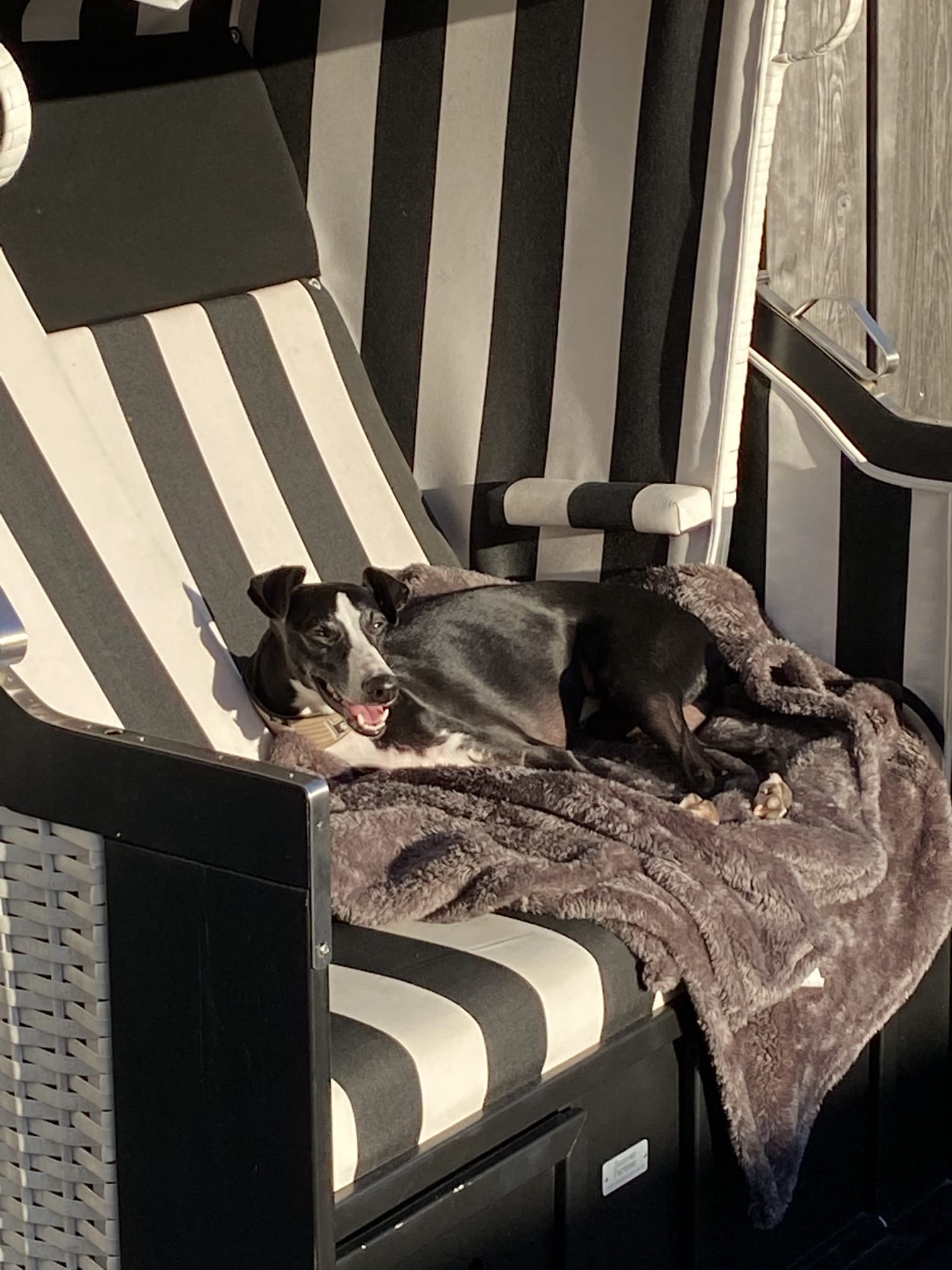 Wir haben Urlaubsgrüße von unserem Bibi der jetzt Jimi heißt bekommen.